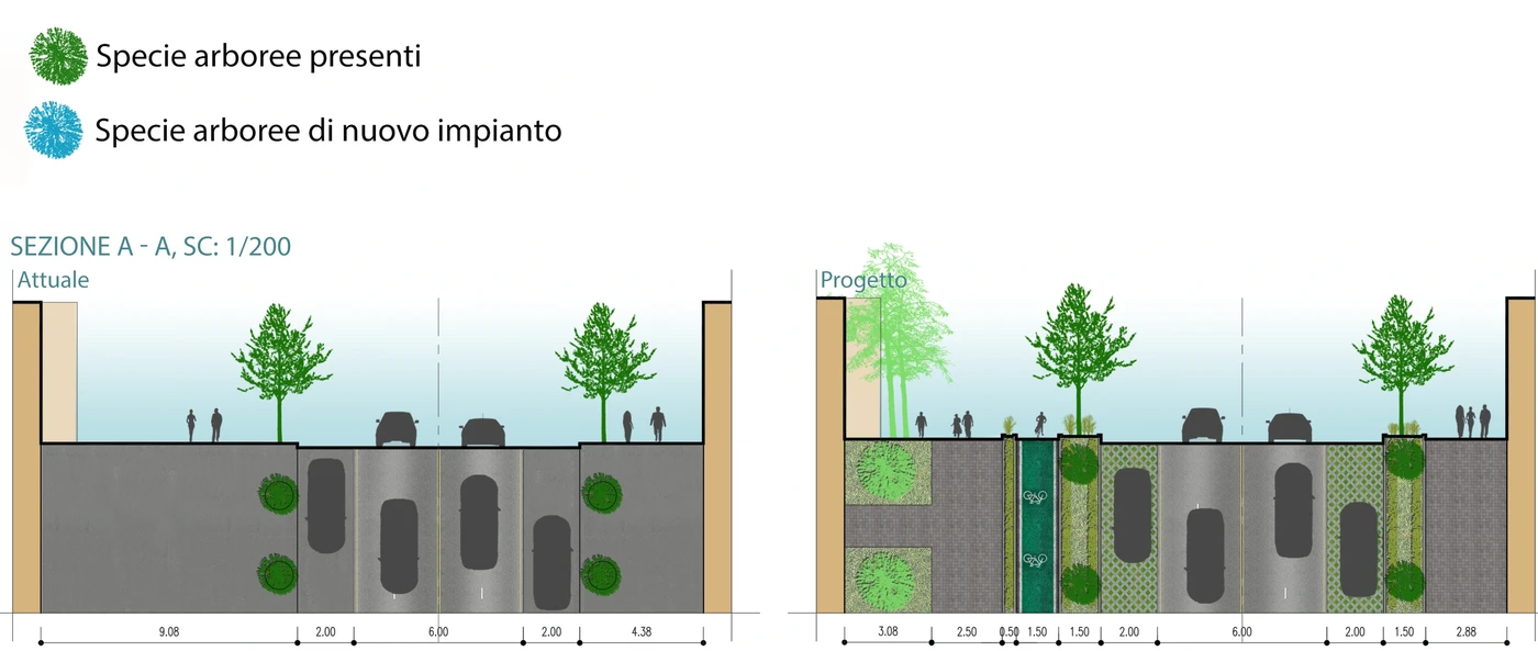 Section A — existing and proposed planting