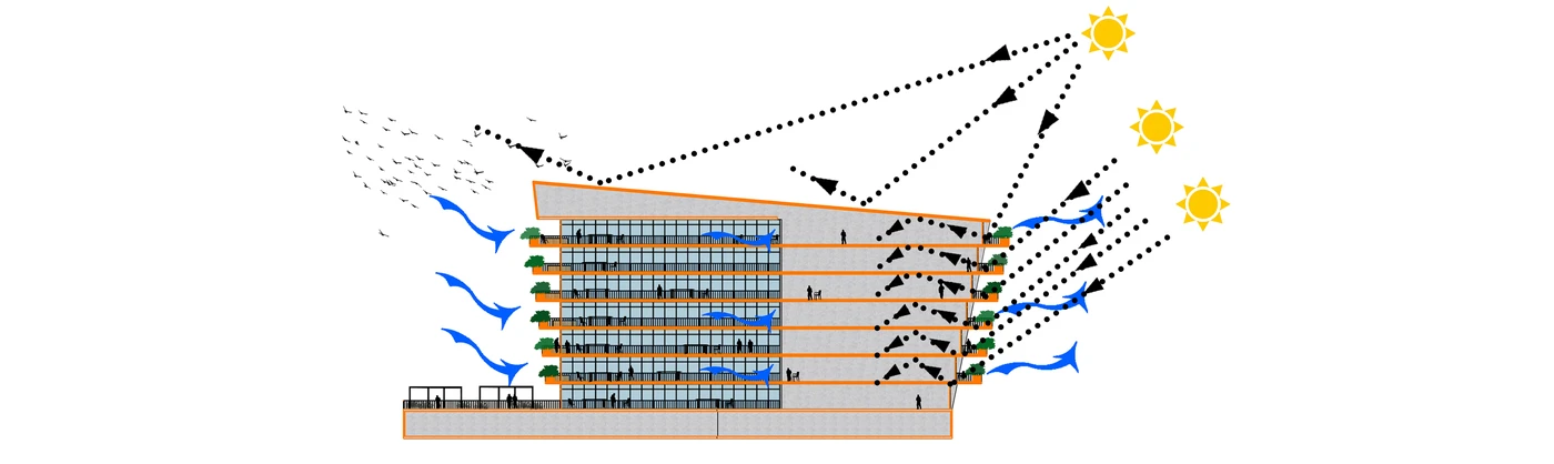 Building and solar exposure