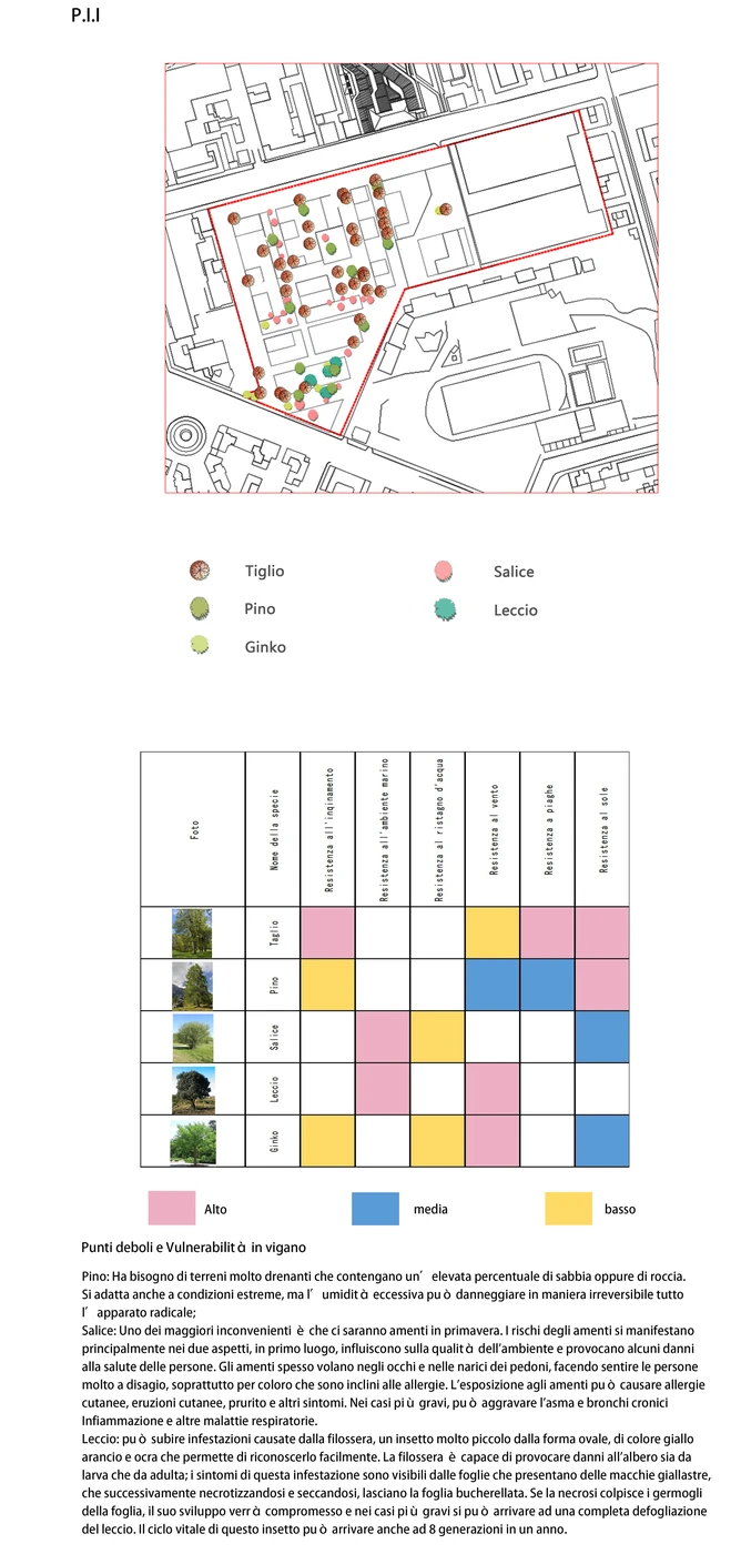 P.I.I. planting proposal — comparison
