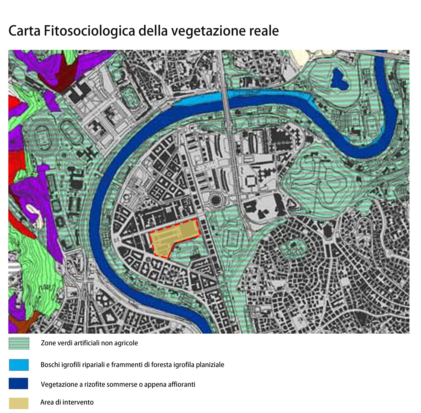 Existing vegetation — phytosociological map