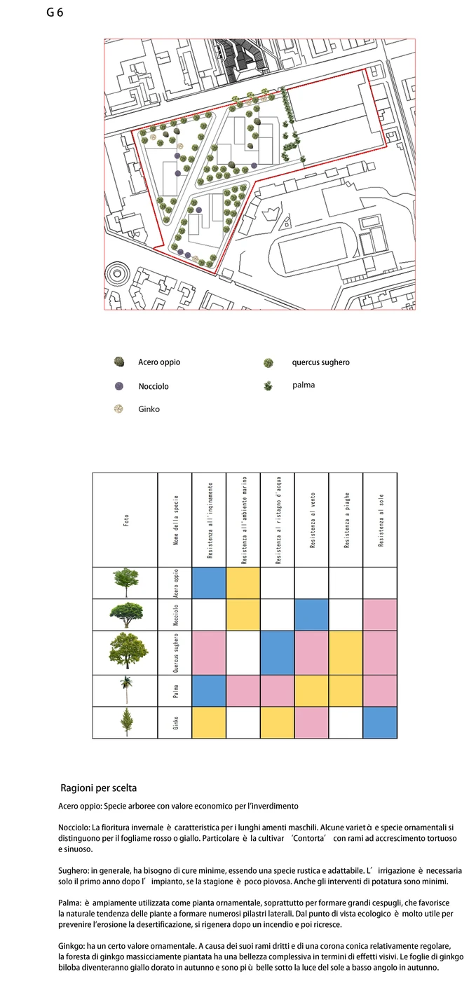 G6 planting proposal — comparison
