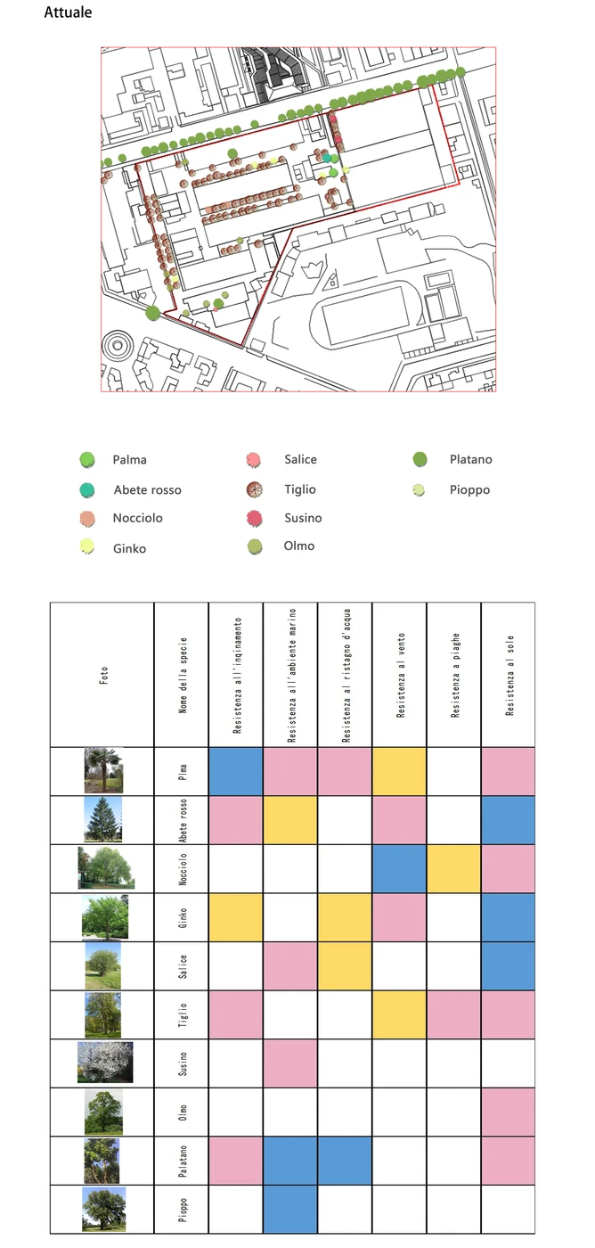 Existing planting — distribution and characteristics