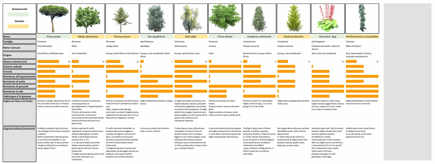 Trees — species, seasons and characteristics
