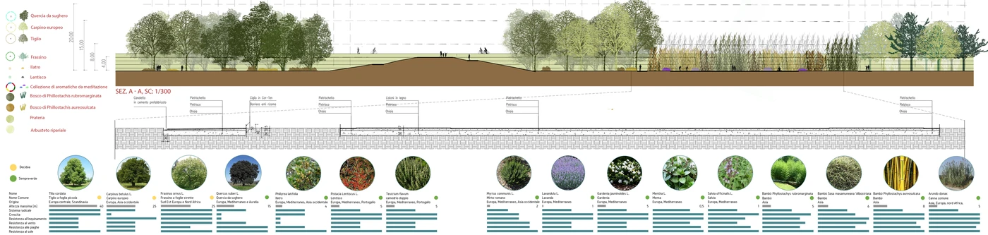 Section, legend and planting palette