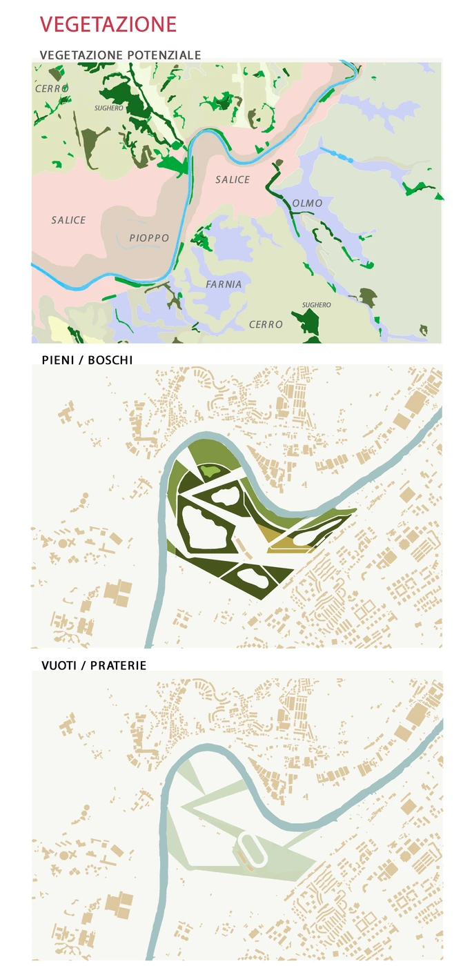 Vegetation