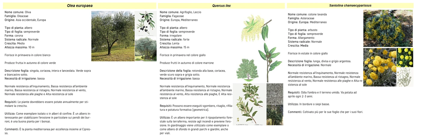 Trees and planting palette
