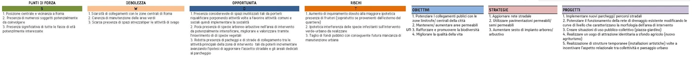 SWOT analysis, objectives and strategies