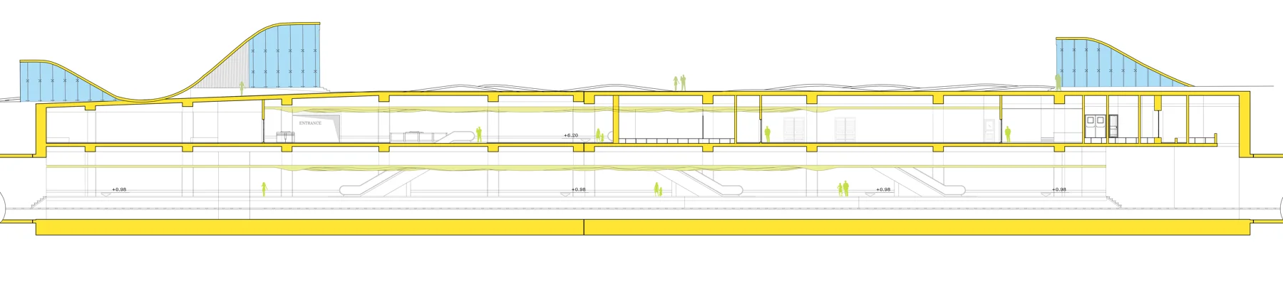 Longitudinal section